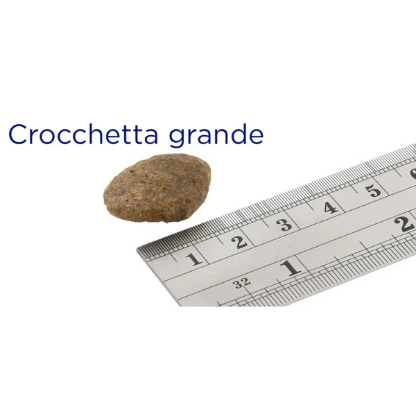 Fish4Dogs Ocean White Fish Large - 1,5 Kg - immagine 2