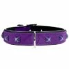 Collare Softie Cairo Hunter - Viola Tg 50