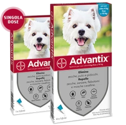 Advantix Spot-On Per Cani 4-10 Kg - 4 Pipette