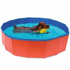 Piscina Per Cani Croci - Ø 120 X H 30 Cm