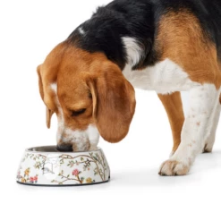 Ciotola In Melamina Mogami Hunter - 160 Ml