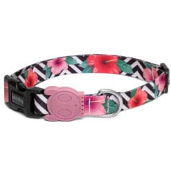 Collare Mahalo Zee Dog - Large