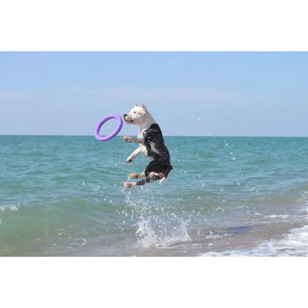 Ferplast Anelli Puller Gioco Per Cani - Micro - immagine 2