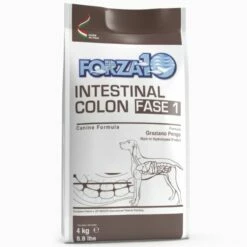 Forza10 Active Cane Intestinal Colon Fase 1 - 10 Kg