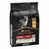 Purina Pro Plan Healthy Start Puppy Medium Crocchette Cane Pollo - 3 Kg