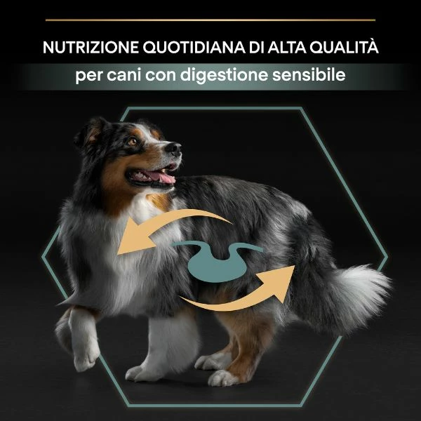 Purina Pro Plan Sensitive Digestion Medium Adult Crocchette Cane Agnello - 3 Kg - immagine 7