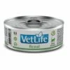 Farmina Vet Life Feline Renal - 85 Gr
