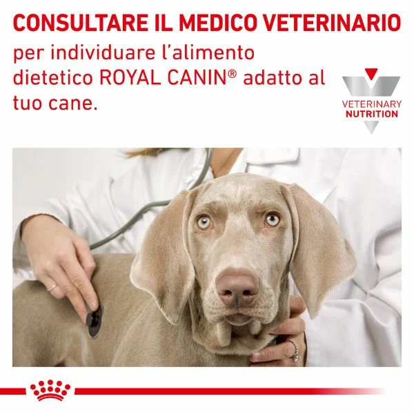 Royal Canin Hypoallergenic Umido Cane - 200 Gr - immagine 4