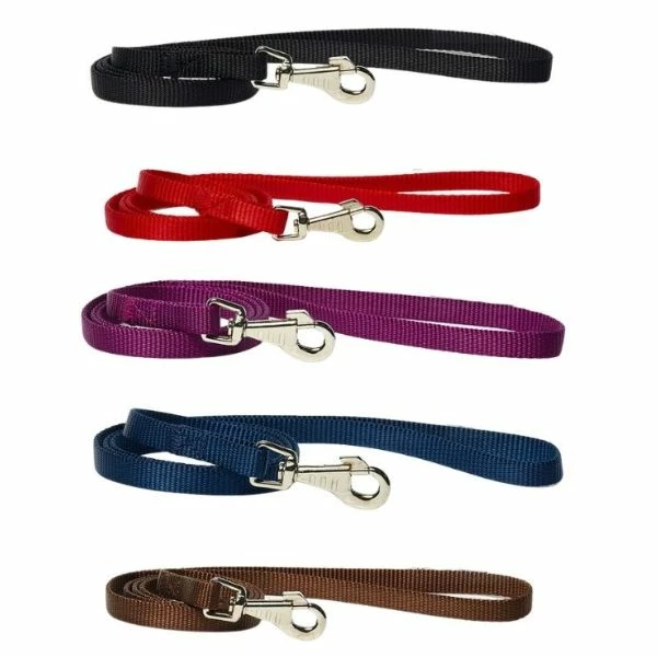Guinzaglio In Nylon Classic PetUp - Marrone - Lunghezza 1 Metro X Fettuccia 2,5 Cm