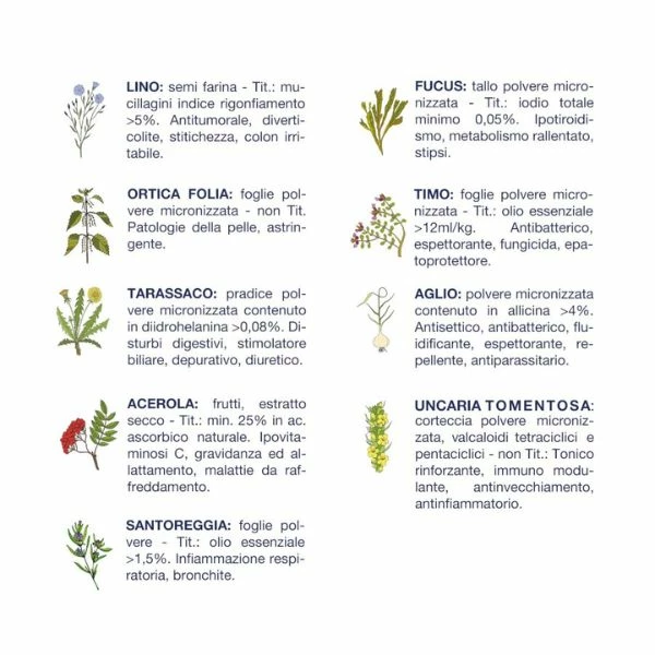 Vet Line Salute Cat Senior 85 Gr - Pollo Coniglio E Lepre - immagine 5