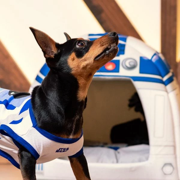 Cuccia Igloo Comics Star Wars For Fan Pets - 38x38x40 Cm - immagine 3