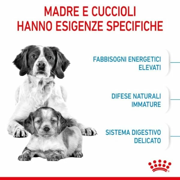 Royal Canin Medium Starter - Mother & Babydog - 4 Kg - immagine 5