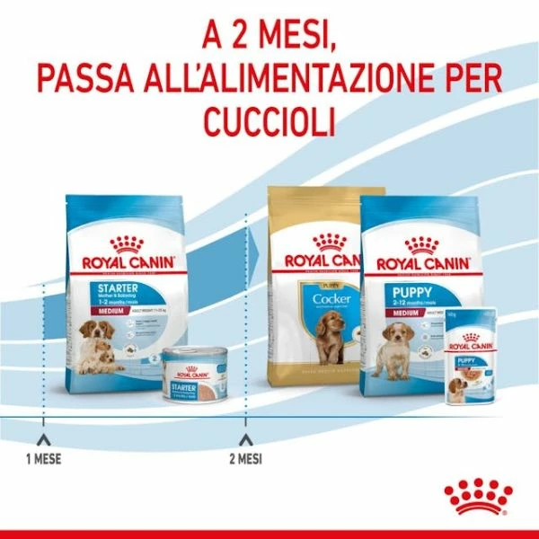 Royal Canin Medium Starter - Mother & Babydog - 4 Kg - immagine 7