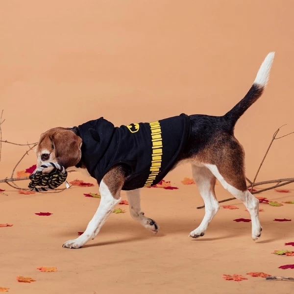 Felpa Comics Batman For Fan Pets - XS - immagine 3