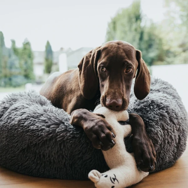 Cuccia In Morbido Peluche Loppa Hunter - Antracite - S: Diametro 60 Cm - immagine 4