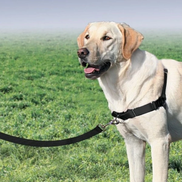 Pettorina Easy Walk Professional Trixie - M-L - immagine 8