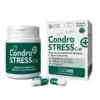Condrostress (+) Cat Senior Innovet - 1 Confezione Da 30 Compresse