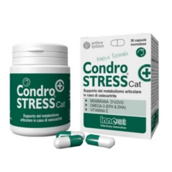 Condrostress (+) Cat Senior Innovet - 1 Confezione Da 30 Compresse