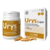 Urys Caps Innovet Per Cane E Gatto - 30 Cps Birillo