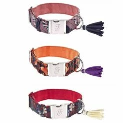 Collare Regolabile Kami Collection Ferribiella - Arancione - Large: 3,8 X 35-56 Cm