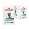 Royal Canin Diabetic Multipack Cat - 12 Buste Da 85 Gr