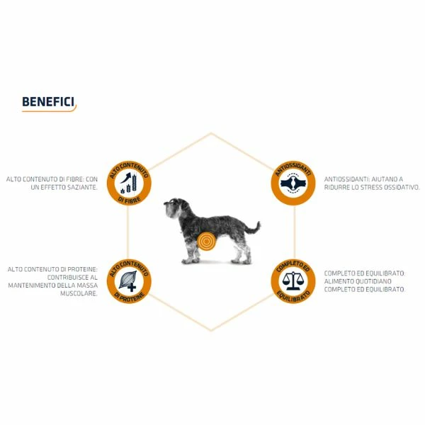 Advance Veterinary Diets Weight Balance Mini - 1,5 Kg - immagine 3