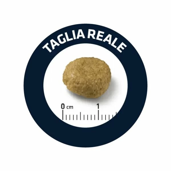 Advance Veterinary Diets Atopic Medium/Maxi - 3 Kg - immagine 2