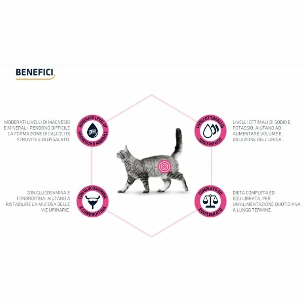 Advance Veterinary Diets Urinary Cat - 1,5 Kg - immagine 3