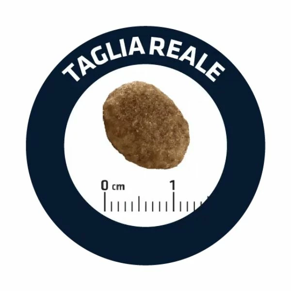 Advance Veterinary Diets Urinary Cat - 1,5 Kg - immagine 2