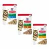 Hill's Science Plan Kitten Alimento Per Gattini 85 Gr - Con Pesce Oceanico