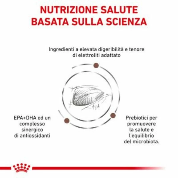 Royal Canin Gastrointestinal Feline - 4 Kg - immagine 4