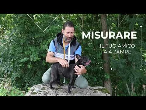 Cappotto Impermeabile Per Cani Montreal Croci - Marrone - 35 Cm - immagine 2