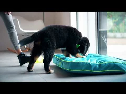 Materassino Polo Nero Ferplast - POLO 80 - 80 X 50 X H 8 Cm - immagine 2