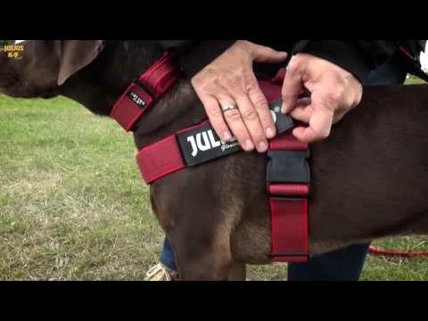 Guinzaglio Color & Gray Super Presa Con Doppio Moschettone Julius K9 - Rosa - 2x220 Cm - immagine 2