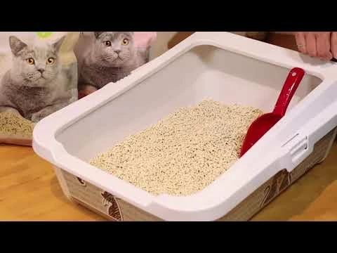 Cat&Rina Lettiera Al Tofu Be Natural - 5,5 Litri - immagine 2