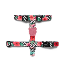 Pettorina Mahalo Zee Dog - Small