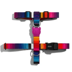 Pettorina Ad H Prisma Zee Dog - Large