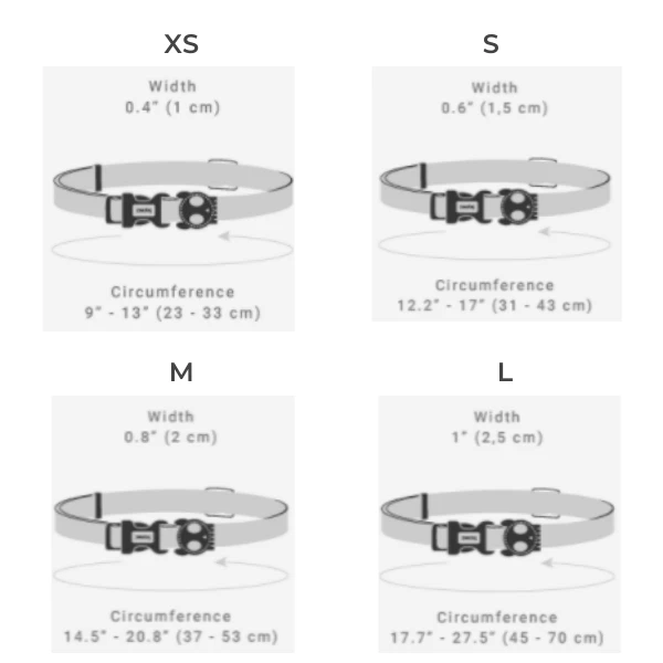 Collare Prisma Zee Dog - Large - immagine 2