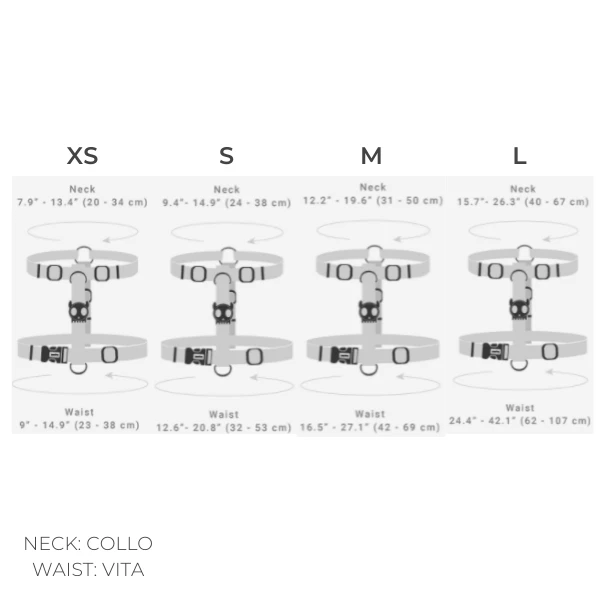 Pettorina Mahalo Zee Dog - Small - immagine 3